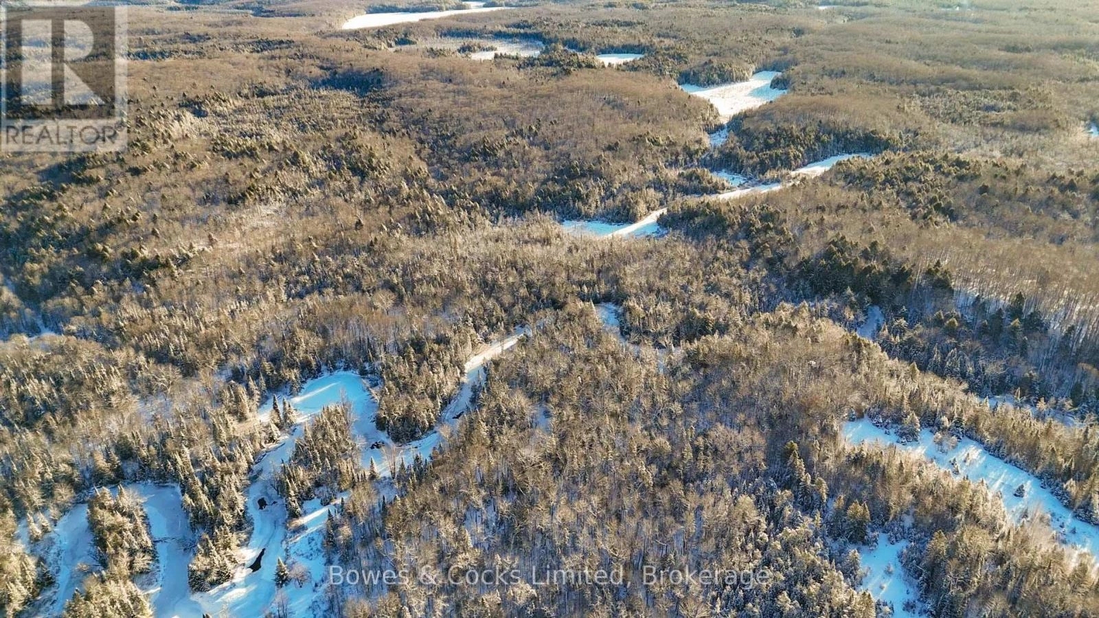 Pt Lt 3 Concession 6, North Kawartha, Ontario  K0L 1A0 - Photo 4 - X12628596