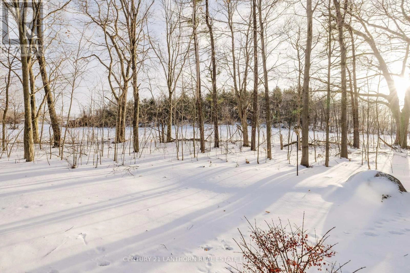 1726 County 26 Road, Brighton, Ontario K0K 1H0 - Photo 37 - X12656598