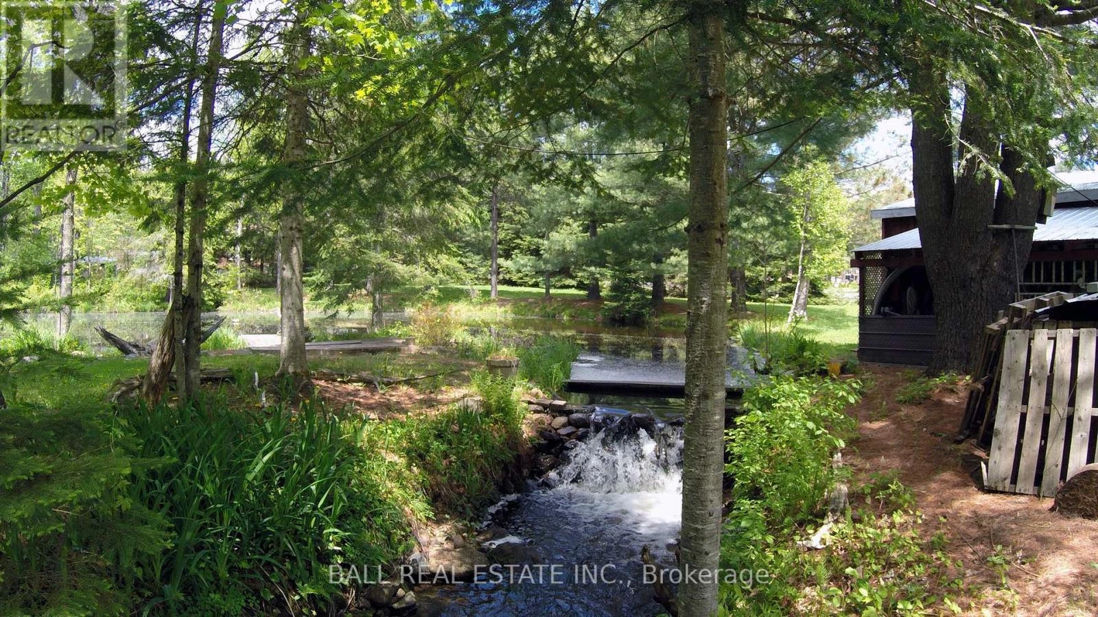 1017 Clement Lake Road, Highlands East, Ontario K0L 3C0 - Photo 7 - X12661162