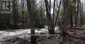 LOT 4 FUTURE LANE, Stirling-Rawdon, Ontario