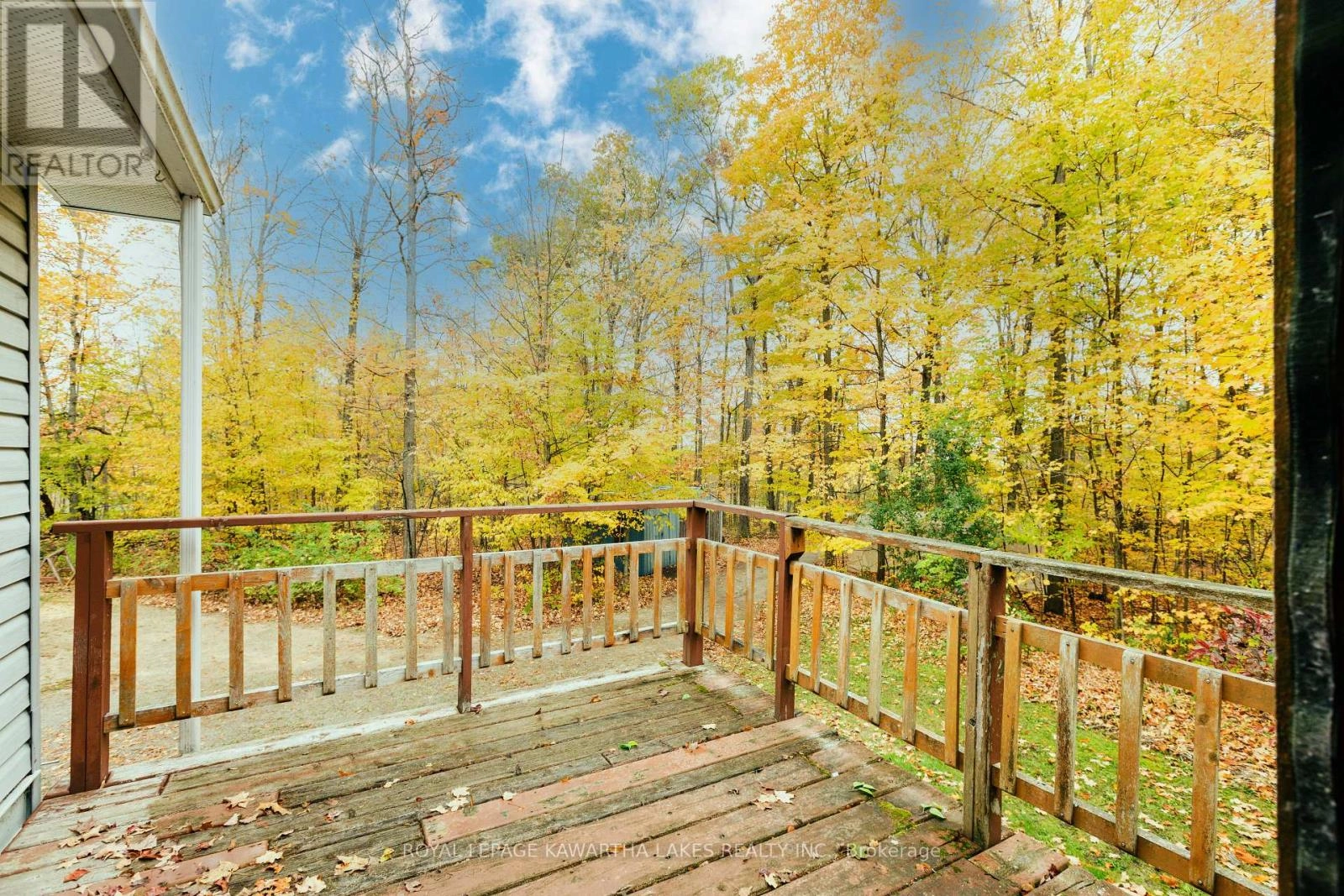 693 Balsam Lake Drive, Kawartha Lakes, Ontario  K0M 2B0 - Photo 16 - X12475205