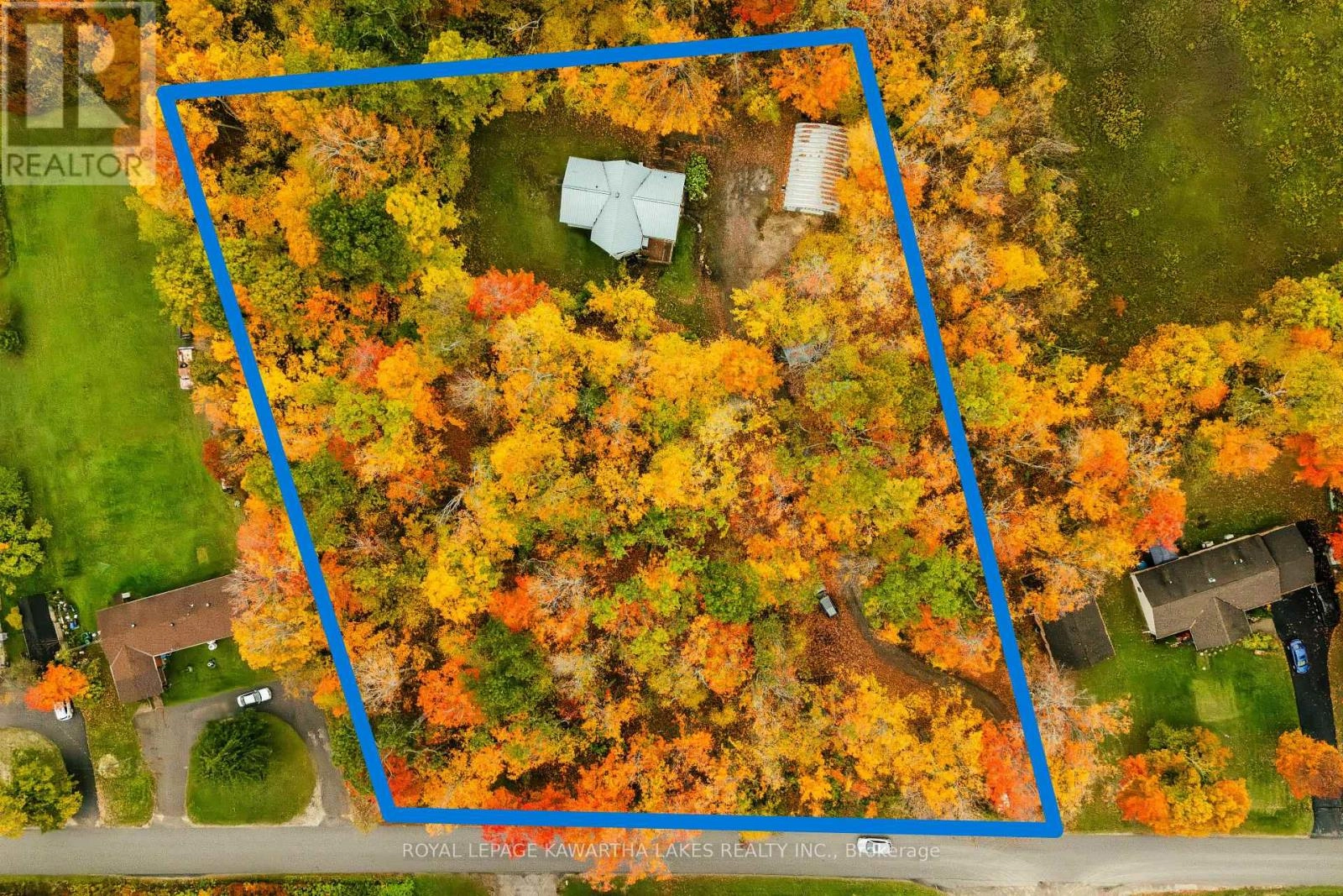 693 Balsam Lake Drive, Kawartha Lakes, Ontario  K0M 2B0 - Photo 3 - X12475205