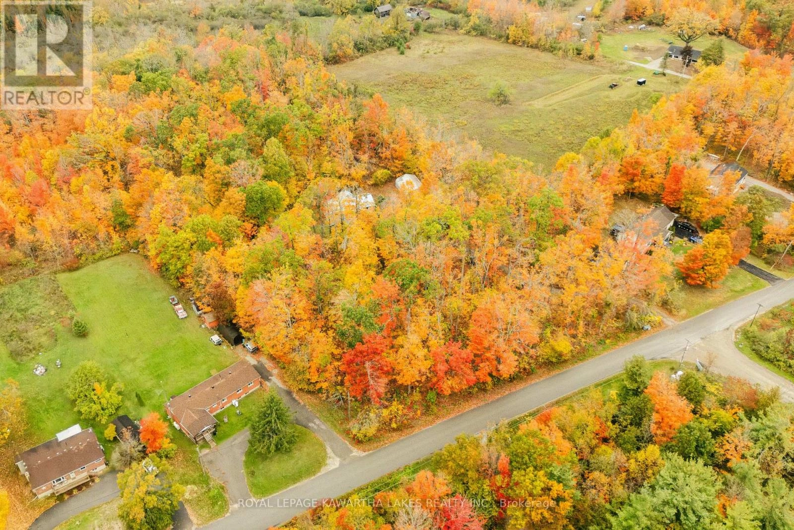 693 Balsam Lake Drive, Kawartha Lakes, Ontario  K0M 2B0 - Photo 48 - X12475205