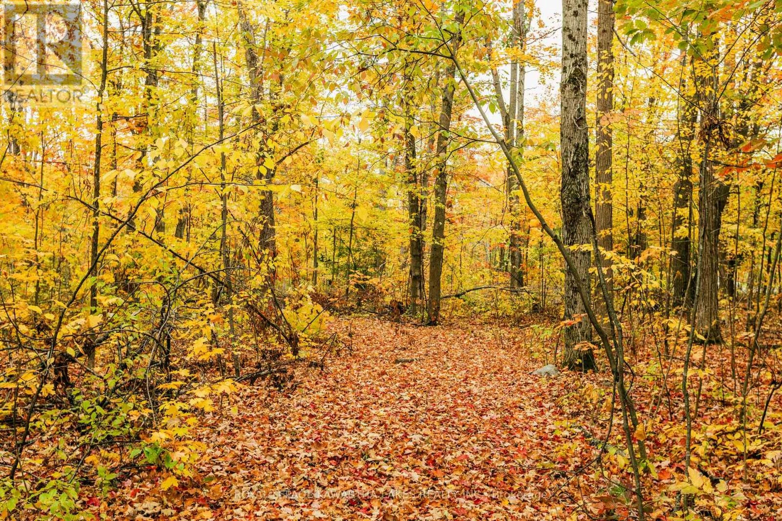 693 Balsam Lake Drive, Kawartha Lakes, Ontario  K0M 2B0 - Photo 45 - X12475205