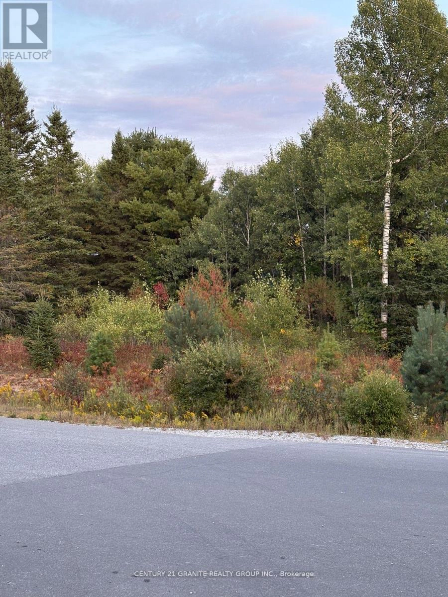 Lt 13 Bancroft Ridge Drive, Bancroft, Ontario K0L 1C0 - Photo 5 - X12757716