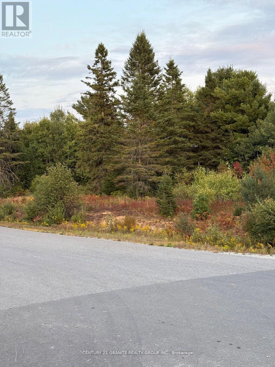 Lt 13 Bancroft Ridge Drive, Bancroft, Ontario K0L 1C0 - Photo 6 - X12757716