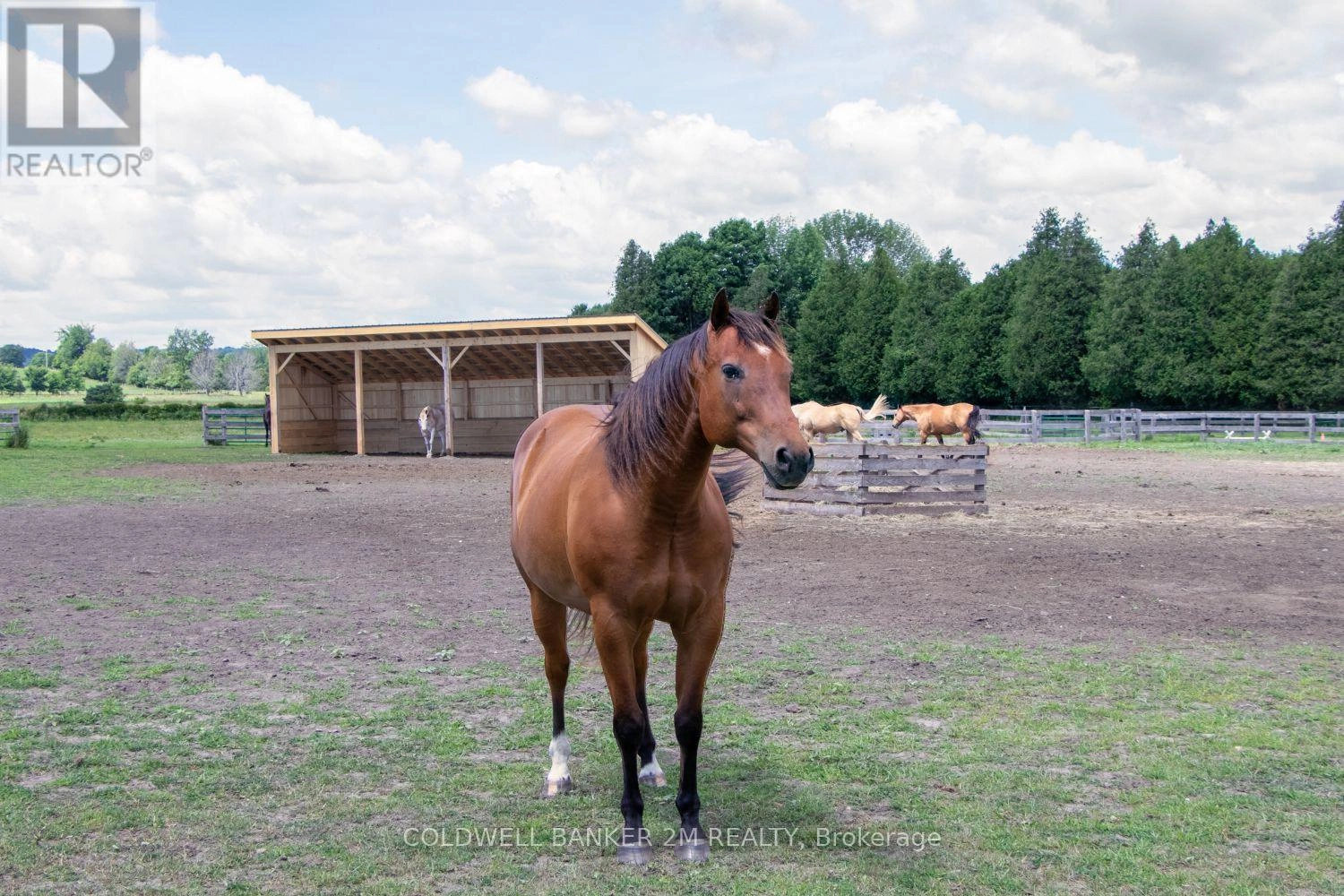 5728 Gilmore Road, Clarington, Ontario L0A 1J0 - Photo 5 - E12956162