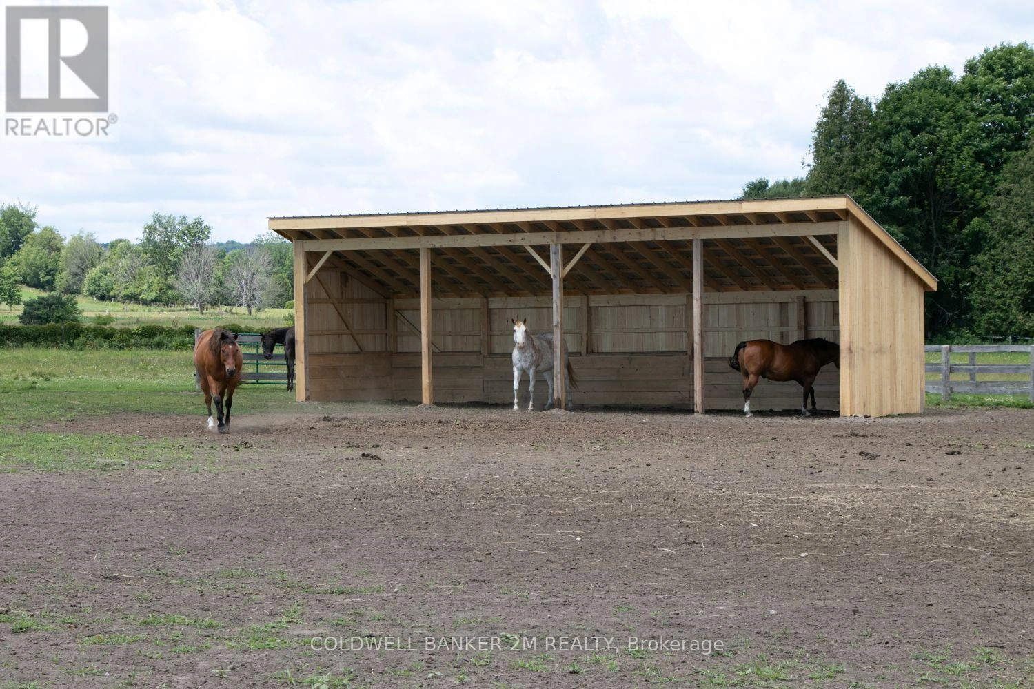 5728 Gilmore Road, Clarington, Ontario L0A 1J0 - Photo 42 - E12956164