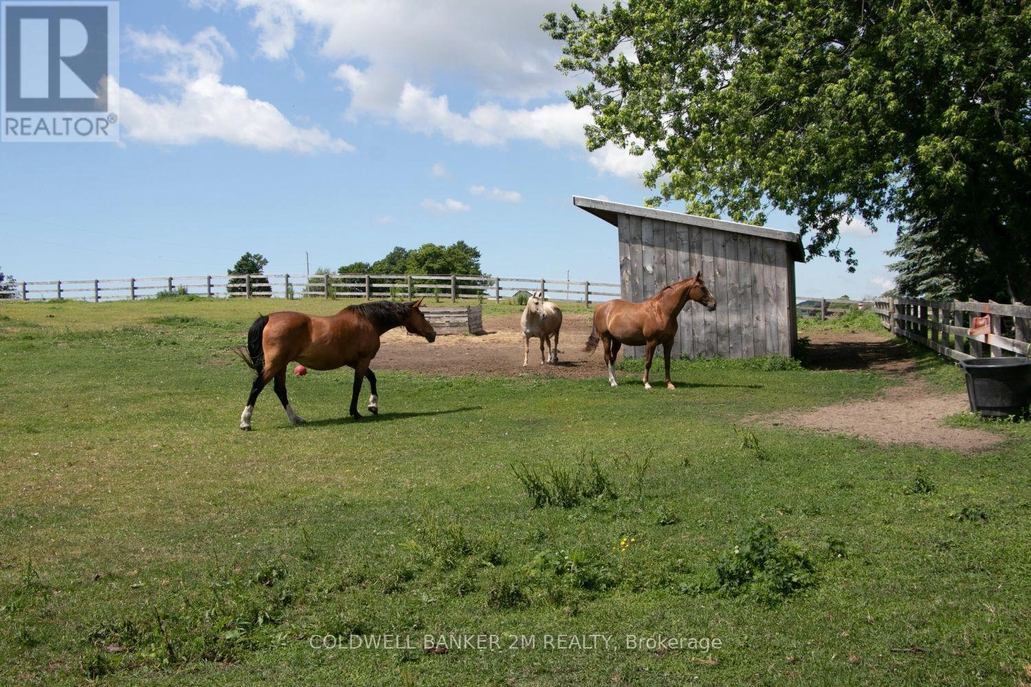 5728 Gilmore Road, Clarington, Ontario L0A 1J0 - Photo 43 - E12956164