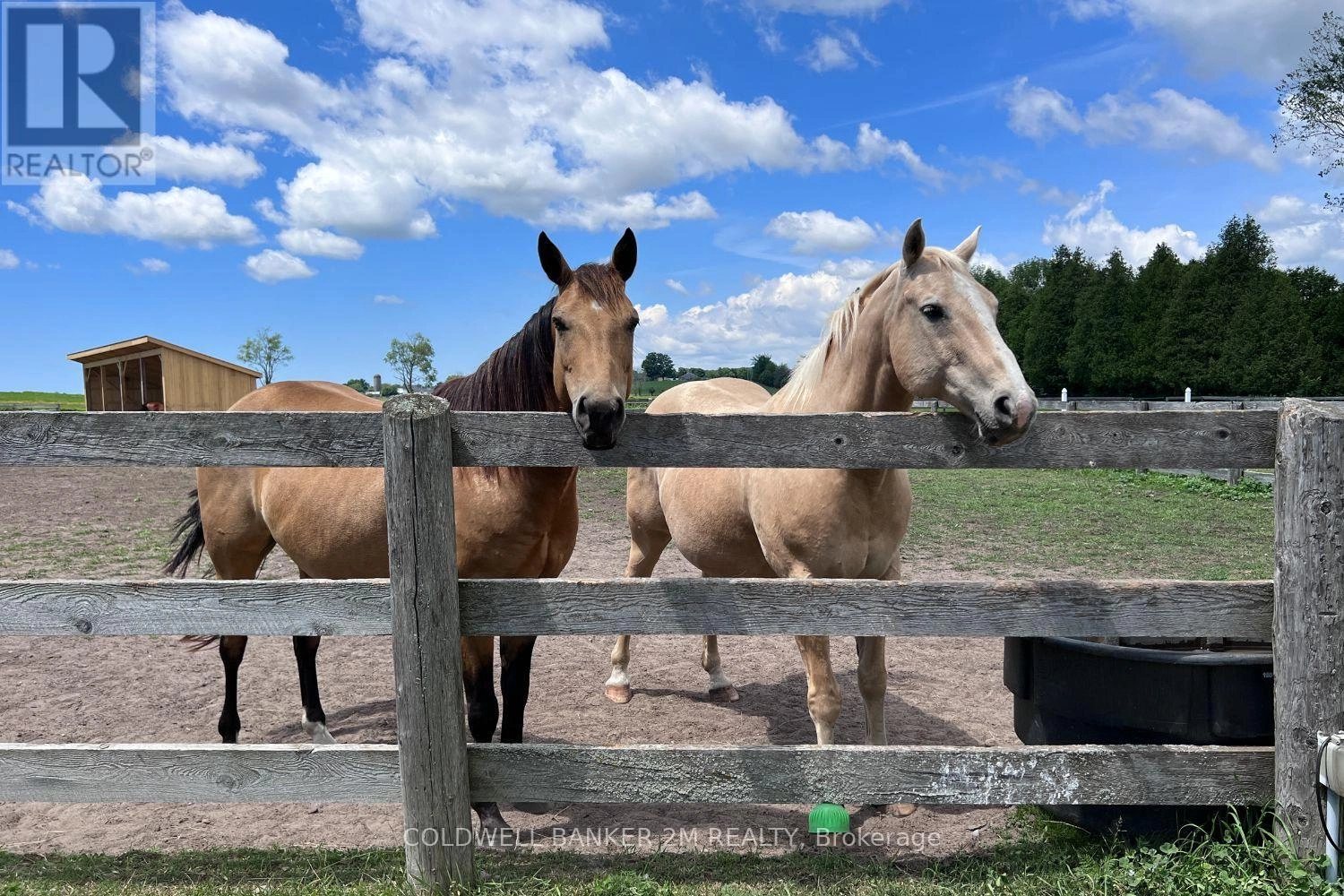 5728 Gilmore Road, Clarington, Ontario L0A 1J0 - Photo 48 - E12956164