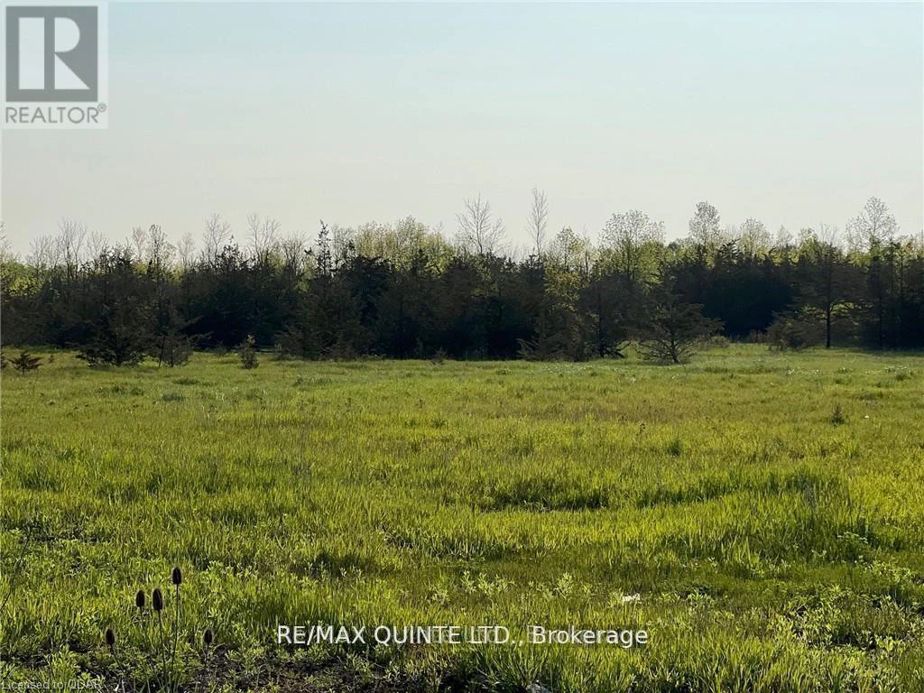 0 Rosseau Crossroad, Prince Edward County, Ontario  K0K 2T0 - Photo 4 - X12961278