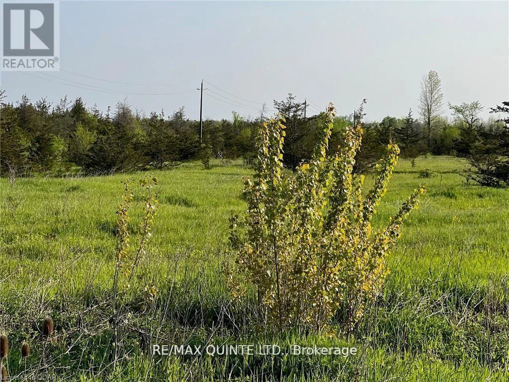 0 Rosseau Crossroad, Prince Edward County, Ontario  K0K 2T0 - Photo 5 - X12961278