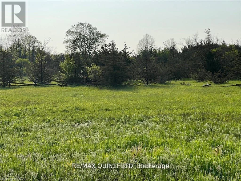 0 Rosseau Crossroad, Prince Edward County, Ontario  K0K 2T0 - Photo 8 - X12961278