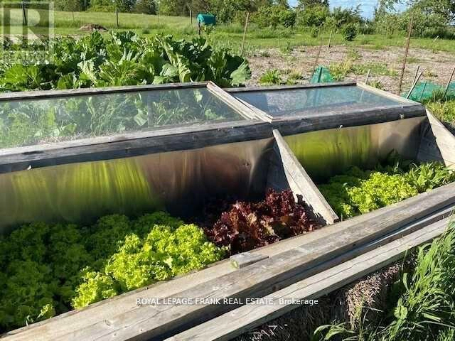 3071 5th Line E, Trent Hills, Ontario K0L 1L0 - Photo 31 - X12774886