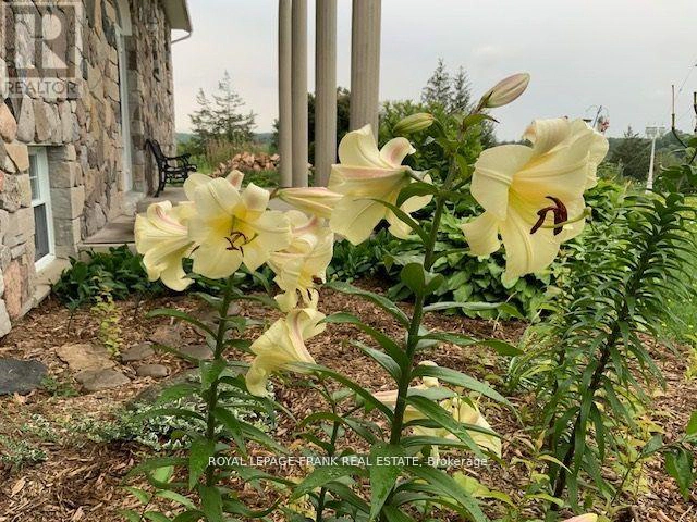 3071 5th Line E, Trent Hills, Ontario K0L 1L0 - Photo 33 - X12774886