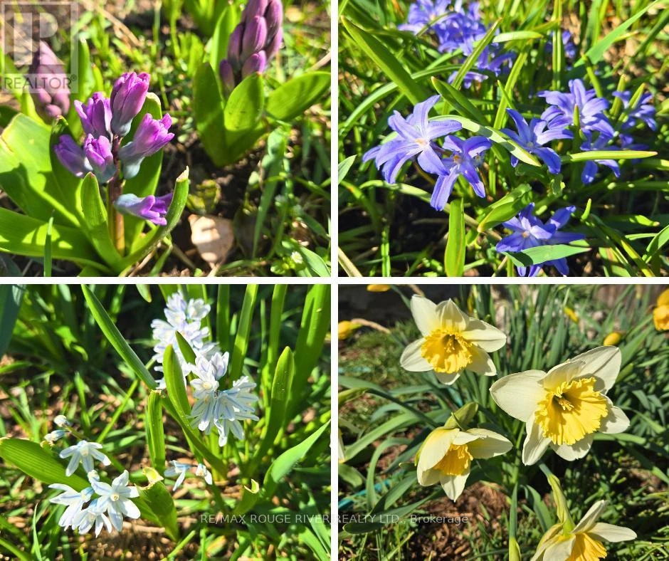 120 Spring Street, Alnwick/haldimand, Ontario  K0K 1S0 - Photo 37 - X13016420