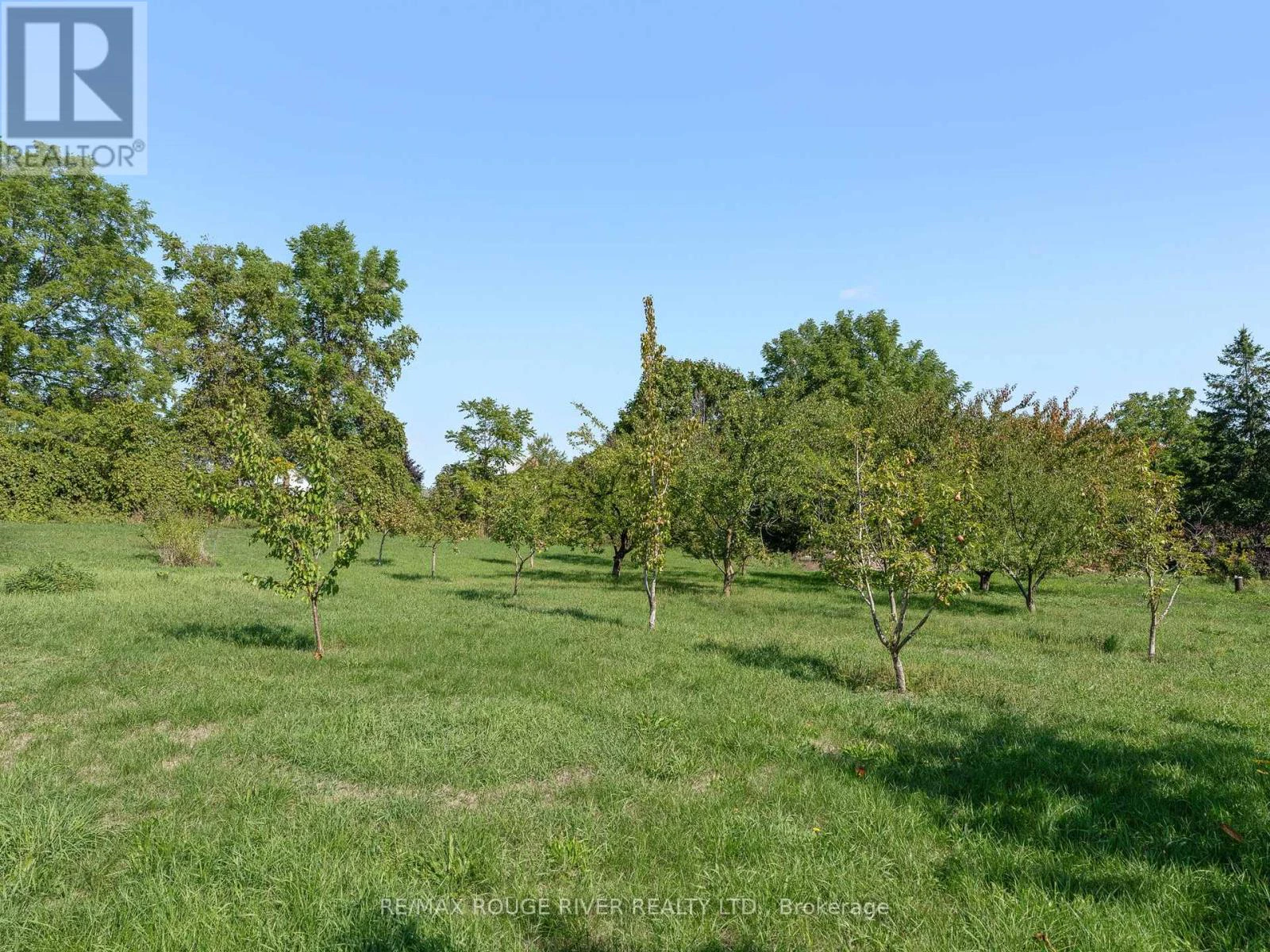 120 Spring Street, Alnwick/haldimand, Ontario  K0K 1S0 - Photo 39 - X13016420