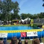 Waterfront Festival 8