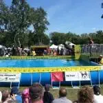 Waterfront Festival 10