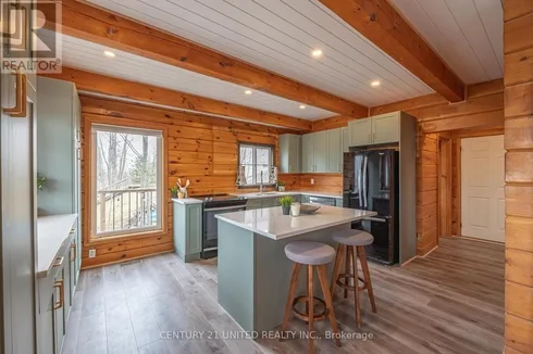95 Birch Point Drive, Kawartha Lakes, Ontario  K0L 1T0 - Photo 2 - X12078680
