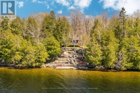 194 Rustic Trail, Kawartha Lakes, Ontario  K0M 1C0 - Photo 3 - X12140613